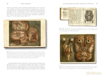 Queer Anatomies: Aesthetics and Desire in the Anatomical Image, 1700-1900 - Michael Sappol [KSIĄŻKA]
