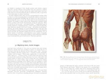 Queer Anatomies: Aesthetics and Desire in the Anatomical Image, 1700-1900 - Michael Sappol [KSIĄŻKA]