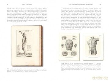 Queer Anatomies: Aesthetics and Desire in the Anatomical Image, 1700-1900 - Michael Sappol [KSIĄŻKA]