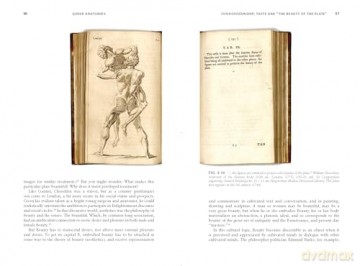 Queer Anatomies: Aesthetics and Desire in the Anatomical Image, 1700-1900 - Michael Sappol [KSIĄŻKA]