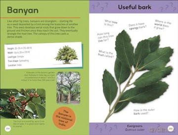Quiz Yourself Clever! Trees of the World (DK Quiz Yourself Clever) [KSIĄŻKA]