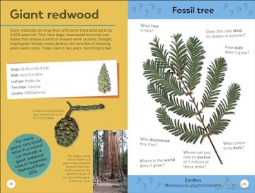 Quiz Yourself Clever! Trees of the World (DK Quiz Yourself Clever) [KSIĄŻKA]