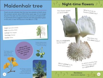 Quiz Yourself Clever! Trees of the World (DK Quiz Yourself Clever) [KSIĄŻKA]