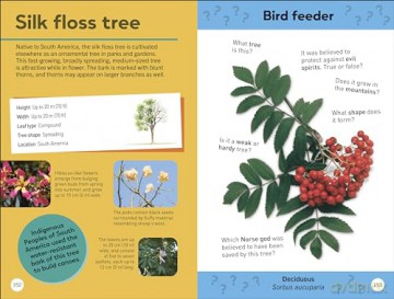 Quiz Yourself Clever! Trees of the World (DK Quiz Yourself Clever) [KSIĄŻKA]