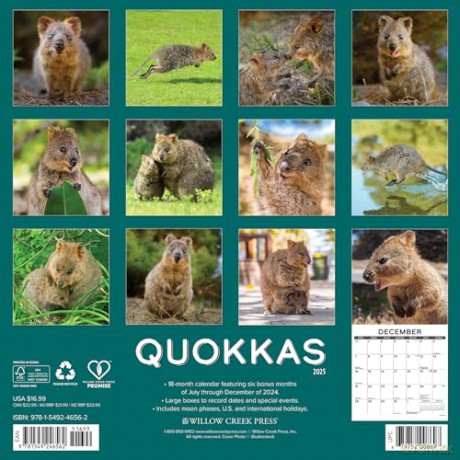 Quokkas 2025 Wall [KSIĄŻKA]