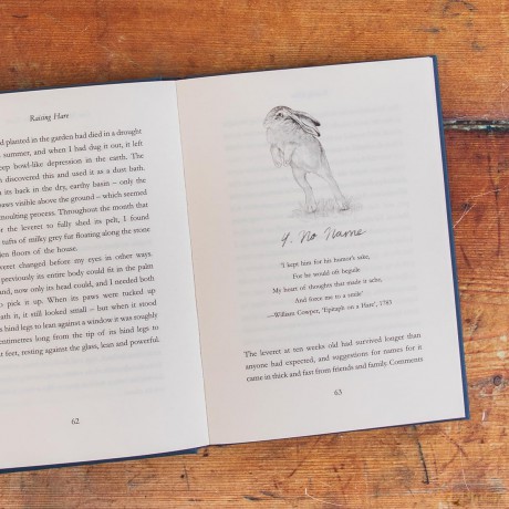 Raising Hare: SHORTLISTED FOR WATERSTONES BOOK OF THE YEAR - Chloe Dalton [KSIĄŻKA]
