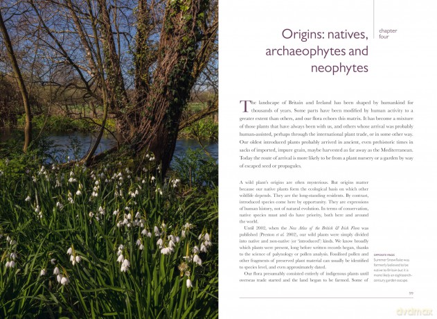 Rare Plants (British Wildlife Collection) - Peter Marren [KSIĄŻKA]