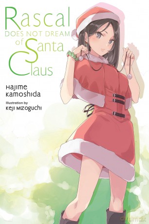 Rascal Does Not Dream of Santa Claus (light novel): Volume 13 (Rascal Does Not Dream (Light Novel)) - Hajime Kamoshida [KSIĄŻKA]