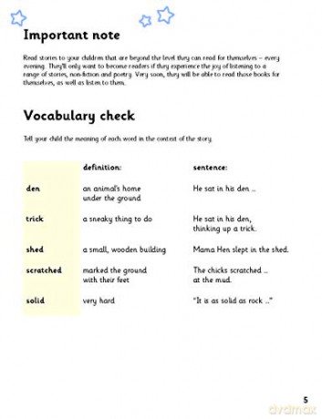 Read Write Inc. Phonics Book Bag Books: Yellow Set 5 Storybooks Pack of 100 - Adrian Bradbury [KSIĄŻKA]