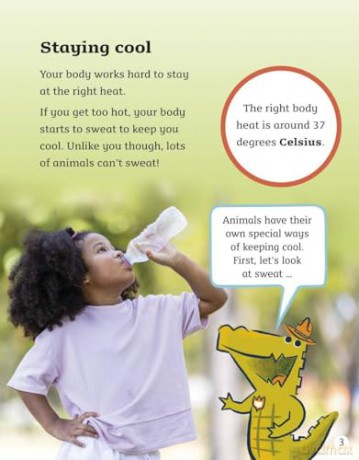 READERFUL LEVEL 7 CROCODILES DON'T SWEAT (Readerful Independent Library) - Sital Gorasia Chapman [KSIĄŻKA]