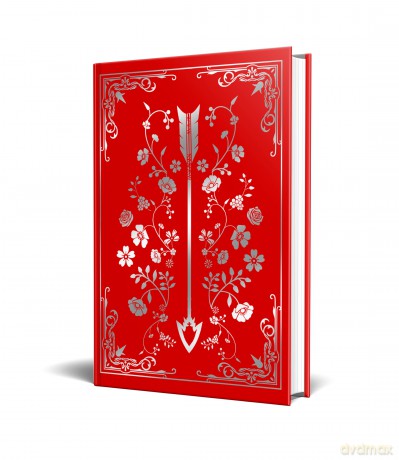 Reckless: Deluxe Collector's Edition Hardback: The epic series taking the world by storm! - Lauren Roberts [KSIĄŻKA]