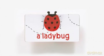 Red Pop (With 6 Playful Pop-Ups!): A Pop-Up Board Book (Color Pops) - Aurore Petit [KSIĄŻKA]