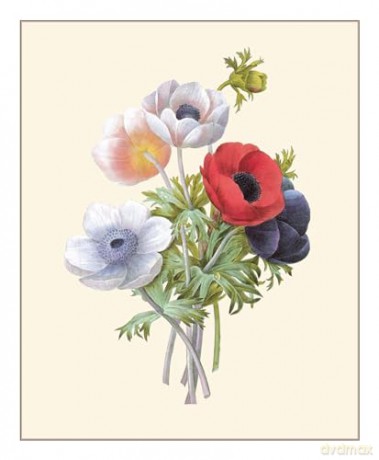 Redouté: Fabulous Flowers - Pierre-Joseph Redouté [KSIĄŻKA]