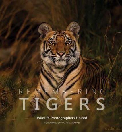 Remembering Tigers: 9 (Remembering Wildlife) - Margot Raggett [KSIĄŻKA]