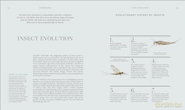 RES Insects: Discover the Science and Secrets Behind the World of Insects [KSIĄŻKA]