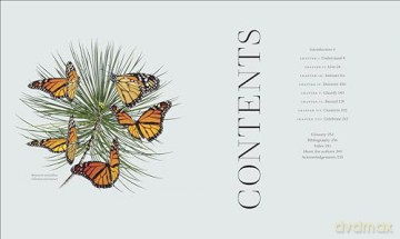 RES Insects: Discover the Science and Secrets Behind the World of Insects [KSIĄŻKA]