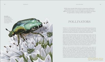 RES Insects: Discover the Science and Secrets Behind the World of Insects [KSIĄŻKA]