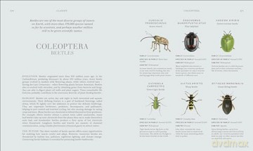RES Insects: Discover the Science and Secrets Behind the World of Insects [KSIĄŻKA]