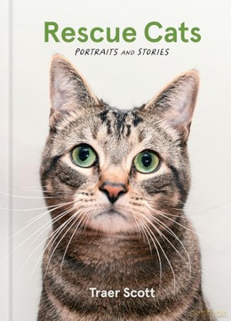 Rescue Cats: Portraits and Stories - Traer Scott [KSIĄŻKA]