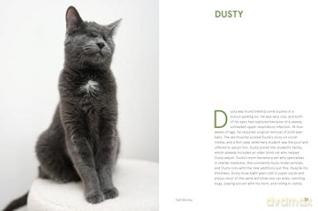 Rescue Cats: Portraits and Stories - Traer Scott [KSIĄŻKA]