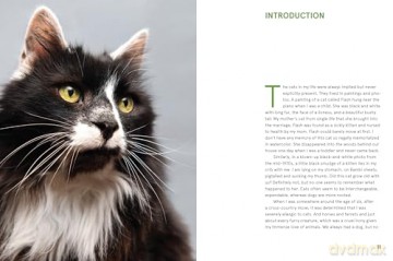 Rescue Cats: Portraits and Stories - Traer Scott [KSIĄŻKA]
