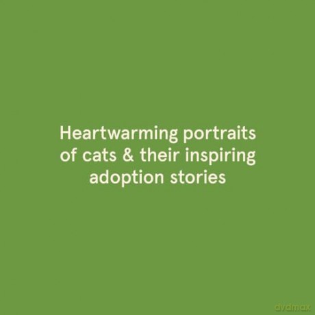 Rescue Cats: Portraits and Stories - Traer Scott [KSIĄŻKA]