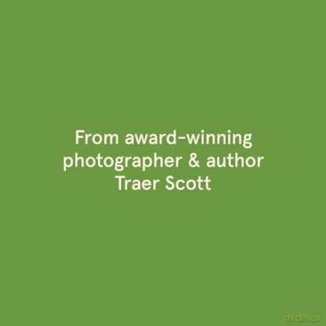 Rescue Cats: Portraits and Stories - Traer Scott [KSIĄŻKA]