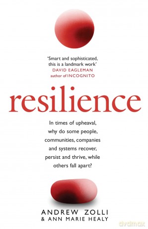 Resilience: Why Things Bounce Back - Andrew Zolli [KSIĄŻKA]