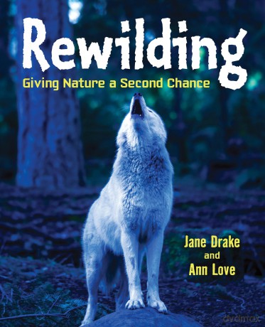 Rewilding: Giving Nature a Second Chance - Ann Love [KSIĄŻKA]
