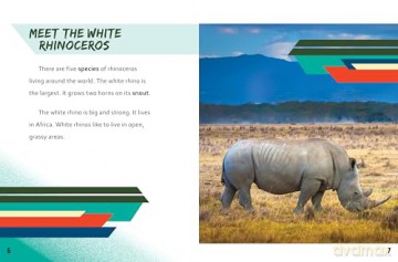 Rhinoceros vs Triceratops (Beastly Battles) - Charles C. Hofer [KSIĄŻKA]
