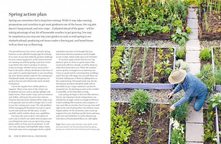 RHS Grow Your Own Veg Through the Year: 365 Days of Homegrown Vegetables & Herbs - Royal Horticultural Society [KSIĄŻKA]