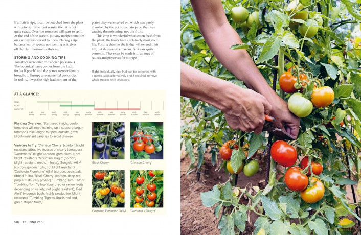 RHS Grow Your Own Veg Through the Year: 365 Days of Homegrown Vegetables & Herbs - Royal Horticultural Society [KSIĄŻKA]