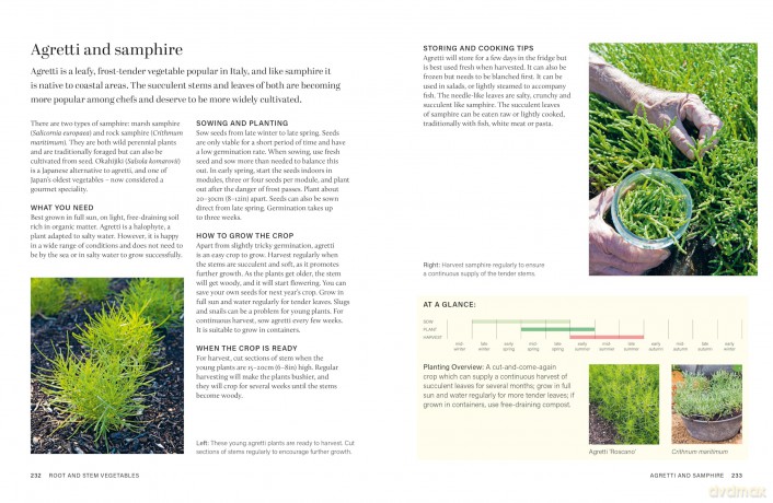 RHS Grow Your Own Veg Through the Year: 365 Days of Homegrown Vegetables & Herbs - Royal Horticultural Society [KSIĄŻKA]