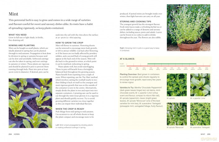 RHS Grow Your Own Veg Through the Year: 365 Days of Homegrown Vegetables & Herbs - Royal Horticultural Society [KSIĄŻKA]