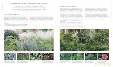 RHS What Plant Where Encyclopedia: An Expert Guide to More Than 3,000 Plants [KSIĄŻKA]