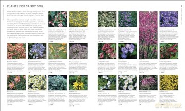 RHS What Plant Where Encyclopedia: An Expert Guide to More Than 3,000 Plants [KSIĄŻKA]