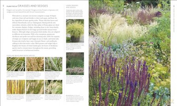 RHS What Plant Where Encyclopedia: An Expert Guide to More Than 3,000 Plants [KSIĄŻKA]