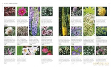 RHS What Plant Where Encyclopedia: An Expert Guide to More Than 3,000 Plants [KSIĄŻKA]