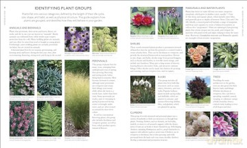 RHS What Plant Where Encyclopedia: An Expert Guide to More Than 3,000 Plants [KSIĄŻKA]