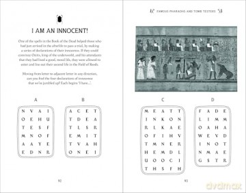 Riddle of the Sphinx: An Ancient Egyptian Puzzle Book - Trevor Naylor [KSIĄŻKA]