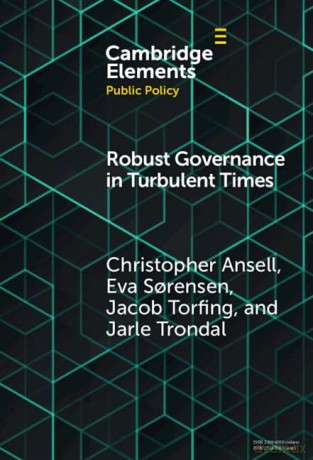 Robust Governance in Turbulent Times (Elements in Public Policy) - Christopher Ansell [KSIĄŻKA]