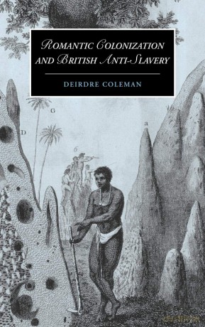Romantic Colonization and British Anti-Slavery: 61 (Cambridge Studies in Romanticism, Series Number 61) - Deirdre Coleman [KSIĄŻKA]