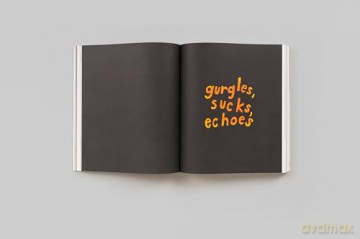 Roni Horn: The Detour of Identity - Roni Horn [KSIĄŻKA]
