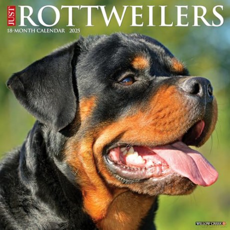 Rottweilers 2025 Wall [KSIĄŻKA]