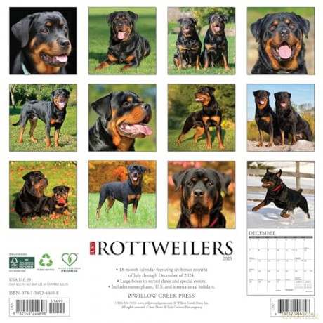 Rottweilers 2025 Wall [KSIĄŻKA]