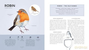 RSPB Bird Tales: Traditional Stories, Folklore and Activities - Dawn Casey [KSIĄŻKA]