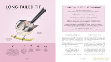 RSPB Bird Tales: Traditional Stories, Folklore and Activities - Dawn Casey [KSIĄŻKA]