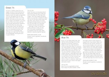 RSPB Birding Year: Seasonal tips and activities to learn about bird behaviour - Dominic Couzens [KSIĄŻKA]