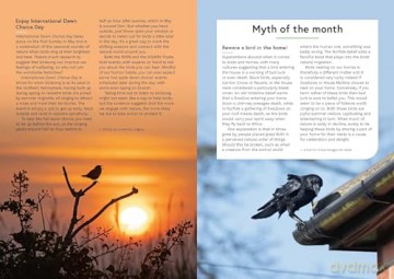 RSPB Birding Year: Seasonal tips and activities to learn about bird behaviour - Dominic Couzens [KSIĄŻKA]