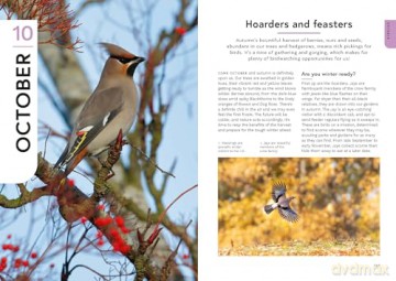 RSPB Birding Year: Seasonal tips and activities to learn about bird behaviour - Dominic Couzens [KSIĄŻKA]